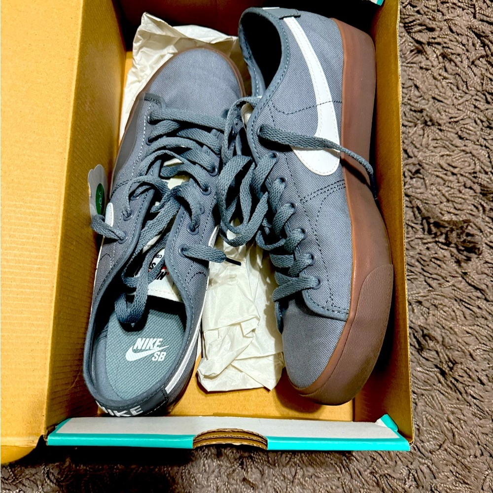 Nike SB BLZR COURT